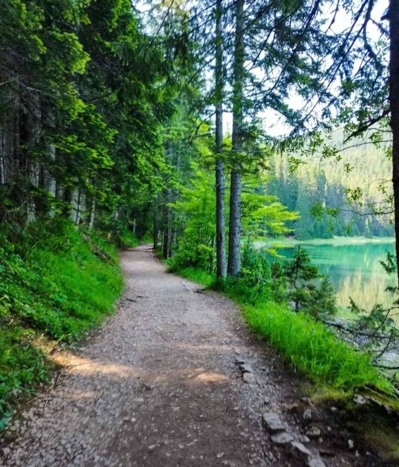 A Frame Houses Ans Zabljak Luaran gambar